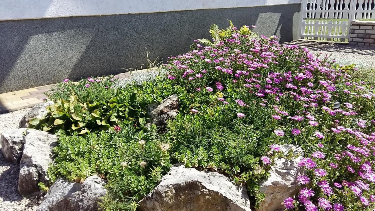 Alfa Apartman Harkany Bagian luar foto